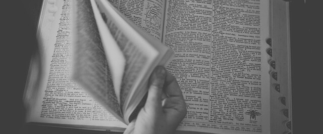 literaki słownik literaki słownik